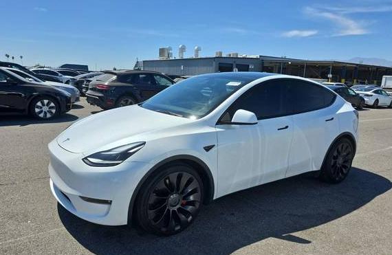TESLA MODEL Y 2022 7SAYGDEF3NF404117 image